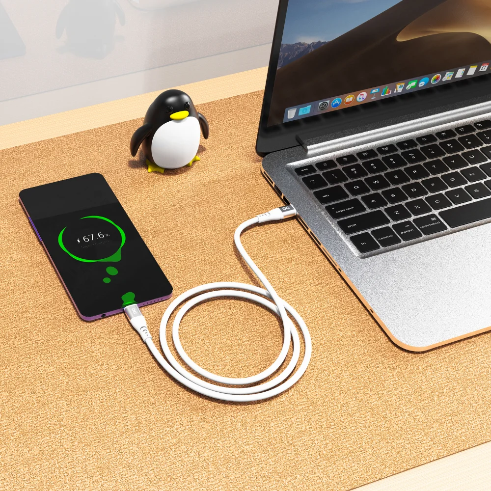 infyty DUO FLEX-I Silicone USB-C to USB-C Charging Cable 100W (1M) - White